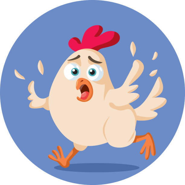Overworked Hen 210+ Stressed Chicken Stock Illustrations, Royalty-Free Vector Graphics ...