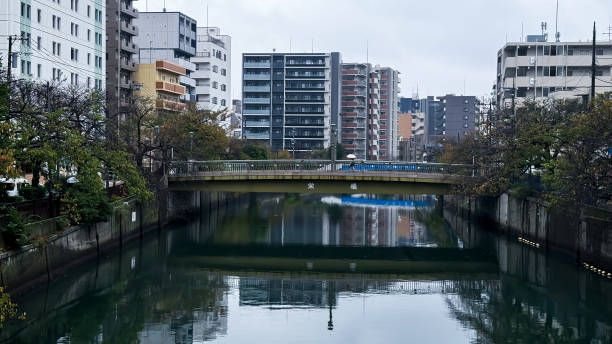 istock The beautiful views in Tokyo 2184247905