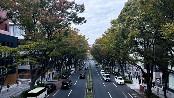istock The beautiful views in Tokyo 2184248652