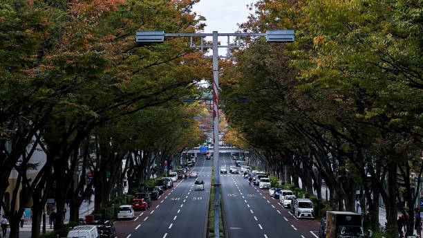 istock The beautiful views in Tokyo 2184248653
