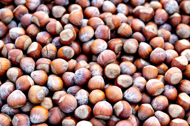 Close-up of a collection of hazelnuts in their natural brown shell; evenly spread and visible in fine texture.