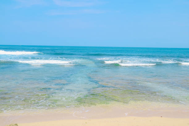 A serene beach scene with calm turquoise waters lapping against a sandy shore. A coral reef can be seen just offshore, adding a touch of vibrant color.