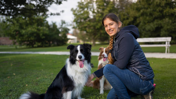 istock Border collie with owner training in a public park 2184260649