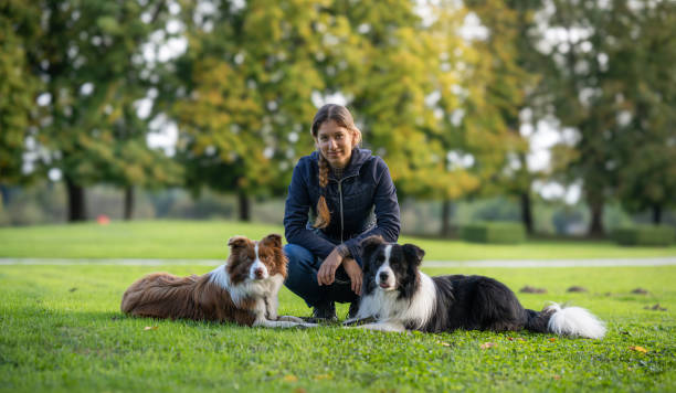 istock Border collie with owner training in a public park 2184260652