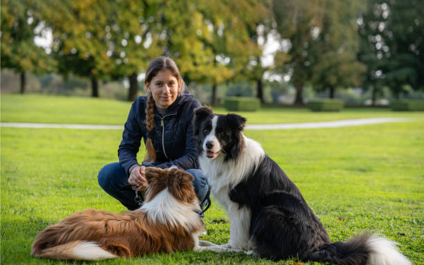 istock Border collie with owner training in a public park 2184260657