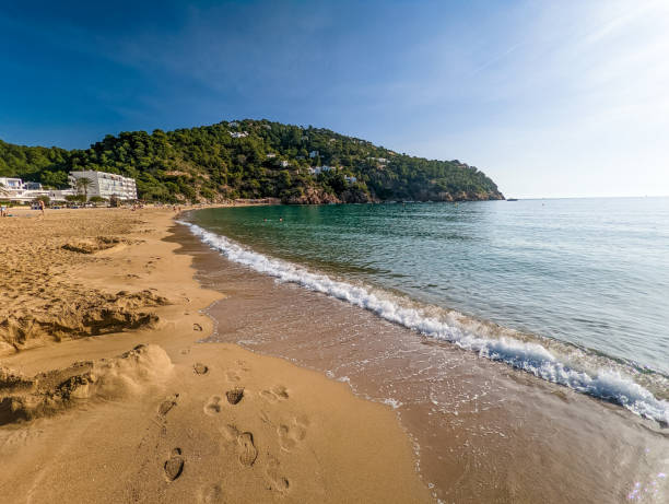 istock Ibiza, Balearics, Spain - Cala de San Vincente or Sant Vincent, bay with beach 2184266430