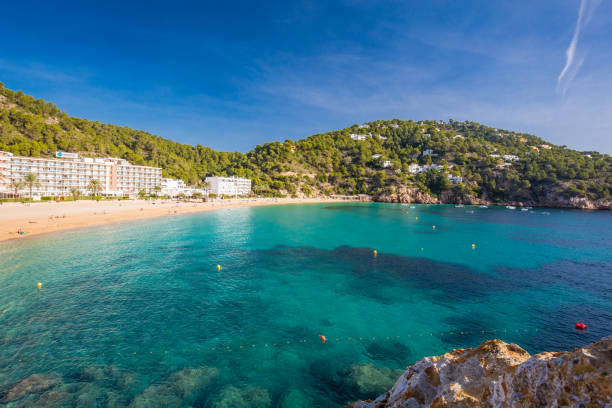 istock Ibiza, Balearics, Spain - Cala de San Vincente or Sant Vincent, bay with beach 2184266432