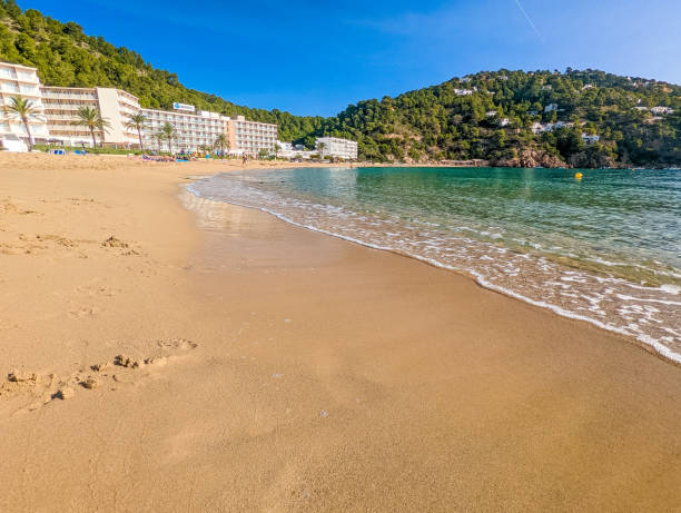 istock Ibiza, Balearics, Spain - Cala de San Vincente or Sant Vincent, bay with beach 2184266440
