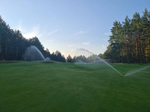 istock Sprinklers in action on a lush golf course during early morning hours 2184271724