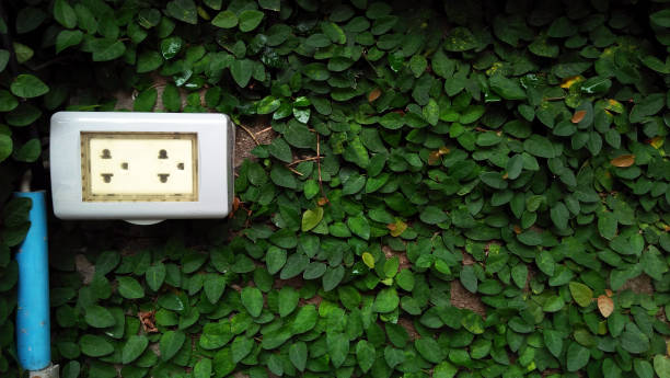 istock Power socket filled with green plants in clean energy concept. 2184276137