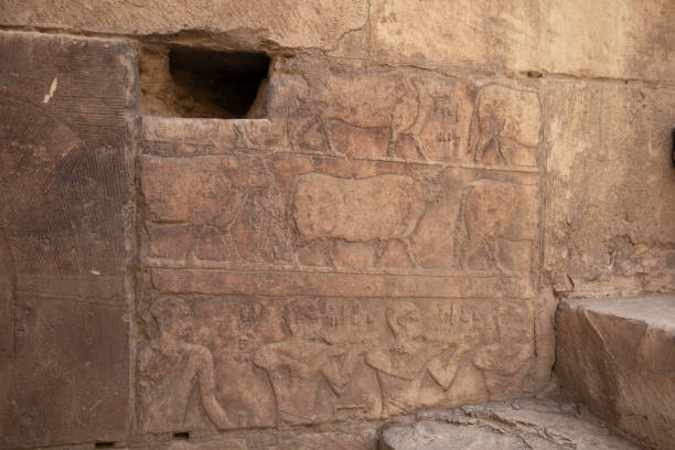 istock A section of an ancient Egyptian wall relief. 2184276816