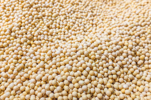 Soy bean seeds texture background, Food ingredient