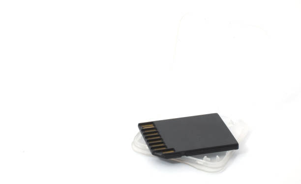istock Front view of an SD card above its plastic protective case on a white background. Computer or camera components for data or photo storage. 2184278863