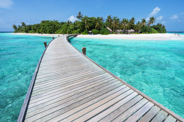 istock Boardwalk into tropical paradise island 2184279183