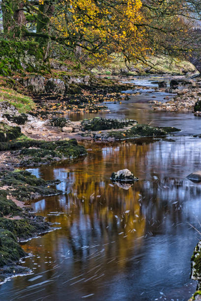 istock Autumnal coloured leaves reflected in River Wharfe, Yockenthwaite, Langstrothdale, Yorkshire Dales NationalPark, North Yorkshire, England, Britain 2184279463