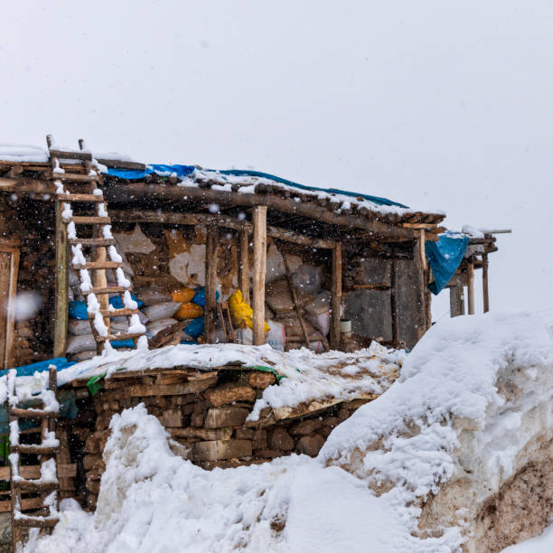 SNOW LANDSCAPESnature is covered in white in winter, lakes, mountains, trees, forests are covered with a white blanket.snow trips, animal husbandry, road, path, transportation difficulty, cold, ice, blizzard,