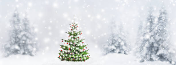 istock Decorated Christmas tree in the forest with snow 2184282265