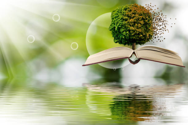 istock A floating book opens to reveal a vibrant tree, symbolizing knowledge and nature's harmony against a serene, watery backdrop 2184285225