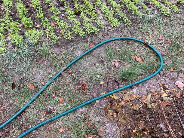 istock Garden hose laid out in vegetable garden rows 2184286660