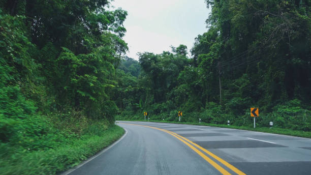 istock The asphalt road and green forest along both side 2184288056