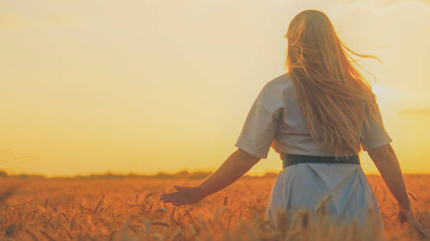 istock Joyful Run in the Wheat Field at Sunset 2184289725