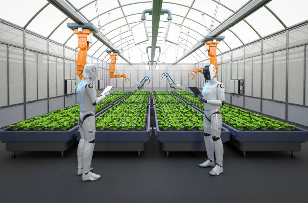 istock Agriculture technology with automation cyborg and robotic arm work in greenhouse 2184295968