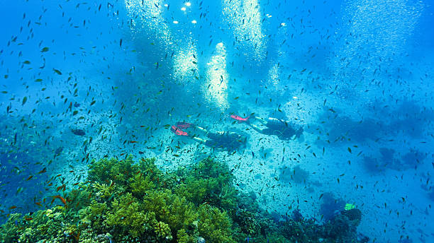 istock Coral reef scenery and landscape 2184299754