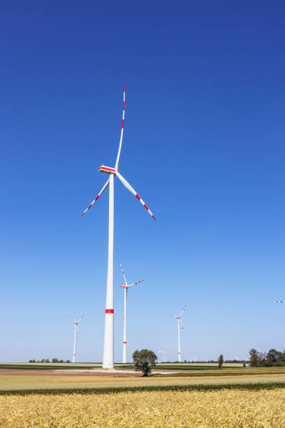 Wind turbines with red and white blades are standing in a field of grain under a blue sky, generating renewable energy in the austrian countryside