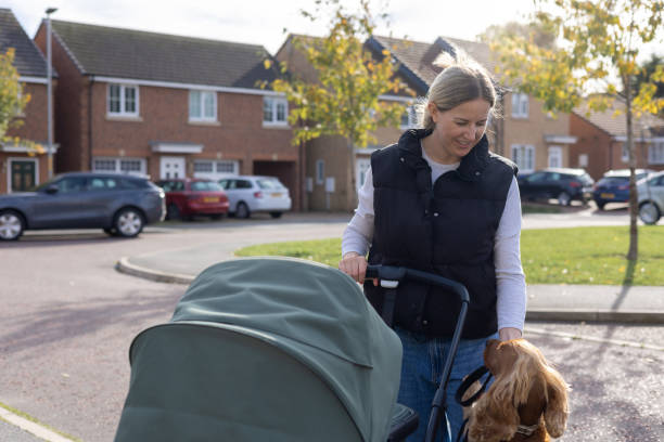 istock Neighbourhood Dog Walk 2184321079