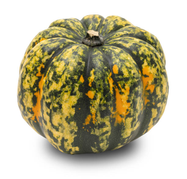 Vibrant green and yellow pumpkin with unique speckled pattern, isolated on white background. Front view. Perfect for autumn, Halloween, harvest themes, and culinary visuals.
