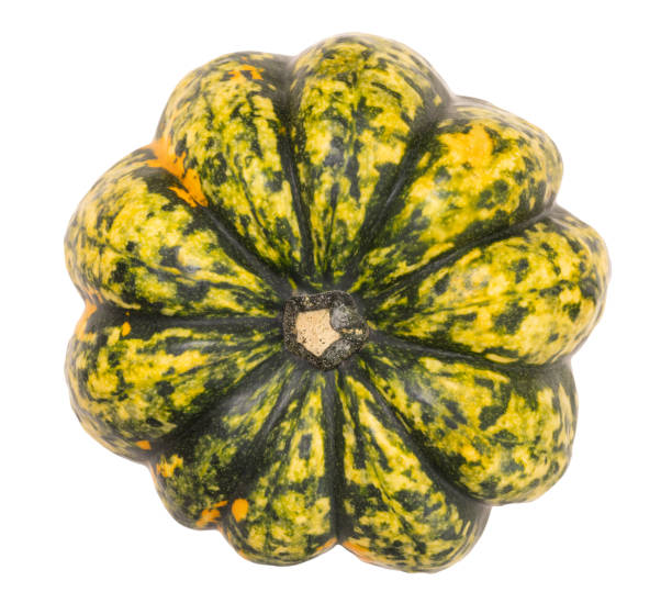 Vibrant green and yellow pumpkin with unique speckled pattern, isolated on white background. Top view. Perfect for autumn, Halloween, harvest themes, and culinary visuals. High angle view, flat lay.