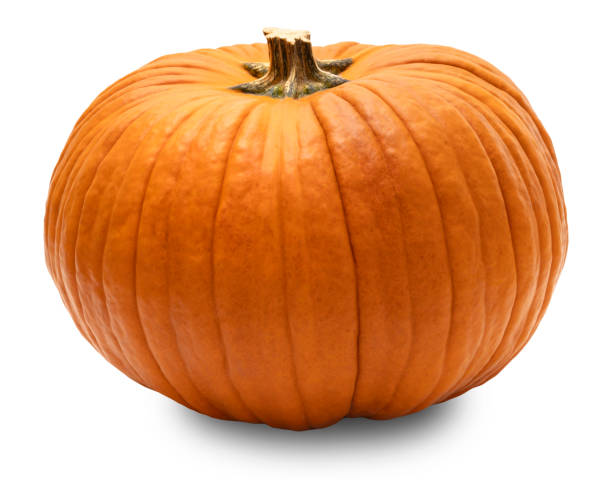 Classic orange pumpkin with ribbed surface, isolated on white background. Front view. Perfect for themes related to Halloween, Thanksgiving, harvest season, fall decor, and natural food visuals.
