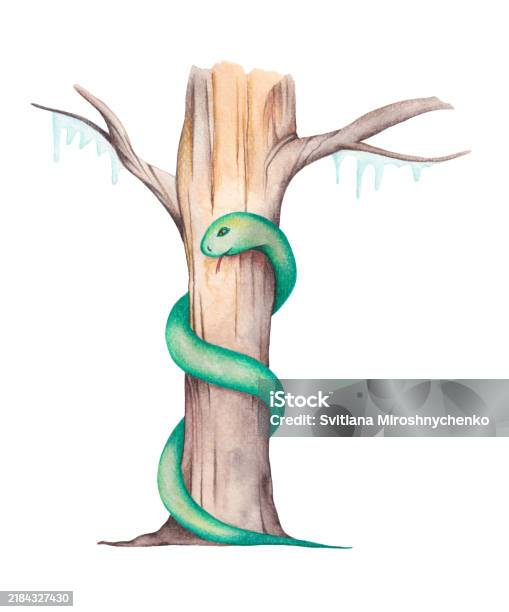 Tree Snake Coiling Green Snake Coiled Around A Tree Stock Illustration - Download Image ...