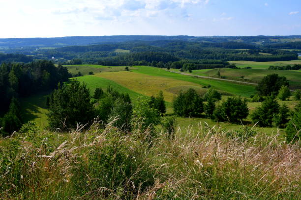 istock A view from the top of a tall hill or mountain showing various fields, meadows, and pasturelands surrounded with forests, moors, small villages and farmlands spotted on a sunny summer day in Poland 2184330157