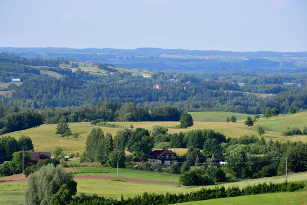 istock A view from the top of a tall hill or mountain showing various fields, meadows, and pasturelands surrounded with forests, moors, small villages and farmlands spotted on a sunny summer day in Poland 2184330278