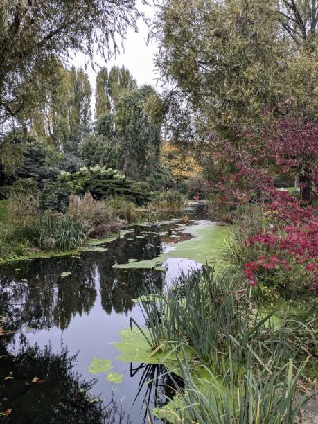 istock Japanese Garden 2184333299