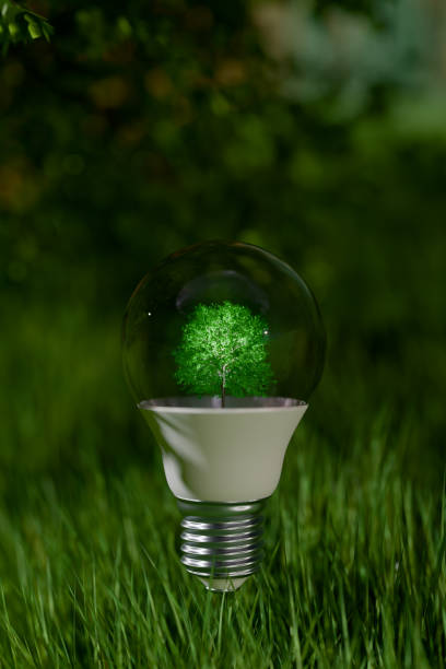istock A light bulb with a green tree inside stands in the grass, symbolizing ecology and sustainability. 3D rendering 2184333675