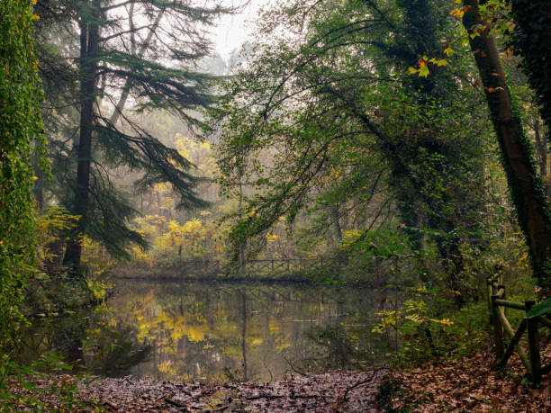 istock The Monza park at November 2184336354