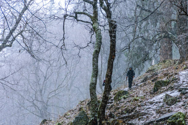 Adventurous hiker hiking through trail with heavy snowfall in Himalayas