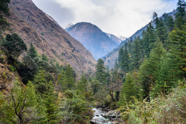 istock The lush green Tirthan valley 2184337405