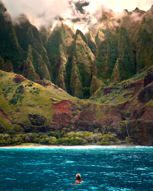 hawaiian sunset / sun poking through the palm trees / waves breaking on shore