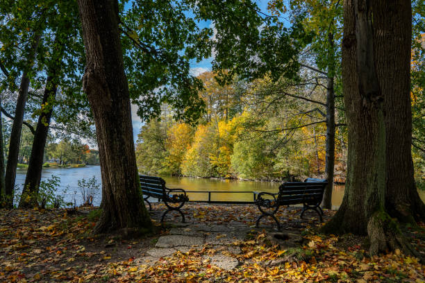 istock Autumn in Sweden 2184339083