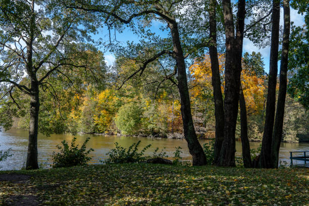 istock Autumn in Sweden 2184339102