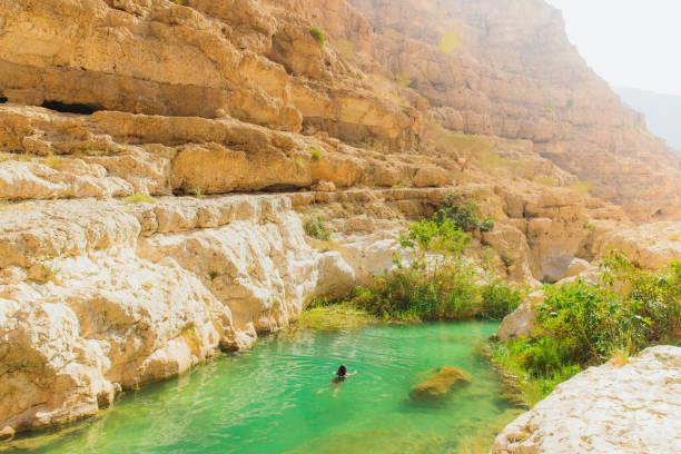 Aerial View of Traveller Swimming in Emerald Green River of Scenic Wadi Shab Canyon in Oman High-angle view of female admiring swimming in bright green rivers of Wadi Ash Shab canyon, admiring desert Middle Eastern landscapes in Oman during sunny day wadi shab stock pictures, royalty-free photos & images