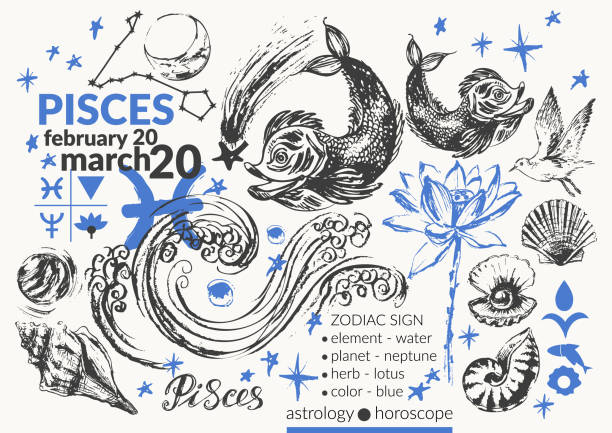 Hand drawn pisces zodiac sign illustration, horoscope background with astrology symbols and talismans Hand drawn pisces zodiac sign illustration, horoscope background with astrology symbols and talismans. Zodiac wheel, planets, sun, moon, star constellations, lotus, seagull, shell, pearl, wave. pisces fish tattoo designs drawing stock illustrations
