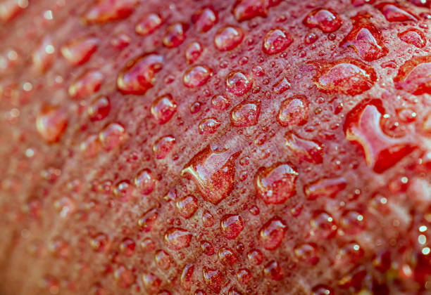 istock Red skin apple with droplets Macro Close-Up Shot 2184353183