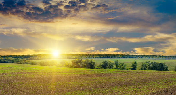 istock Harvested Fields and meadows landscape . Wavy country scenery at autumn sunset. 2184354627