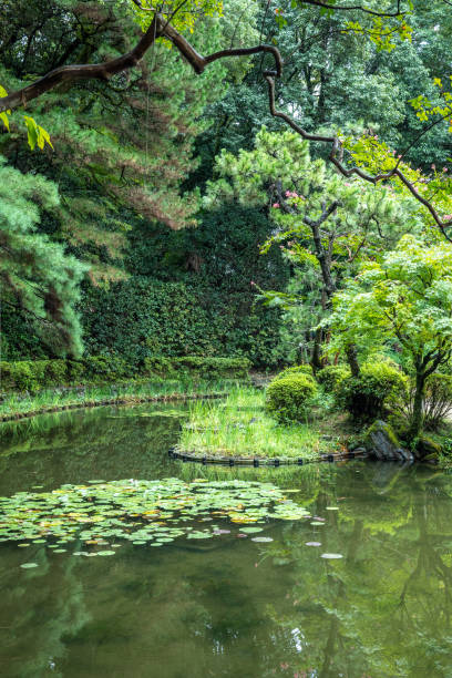 istock Lush pond with water lilies in japanese garden setting 2184356499
