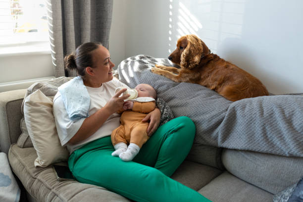 Mother Feeding Baby Boy on the Sofa