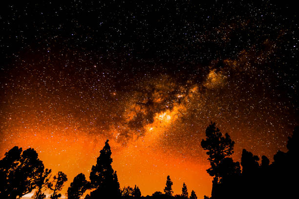 The sky is dark and the stars are shining brightly. The trees are silhouetted against the orange sky, creating a beautiful and serene atmosphere